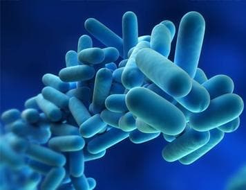 Essential Guide to Legionella Risk Assessment